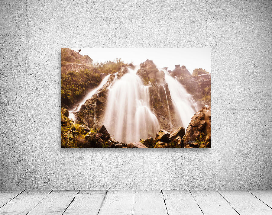 Waratah wild waterfall Wall Preview