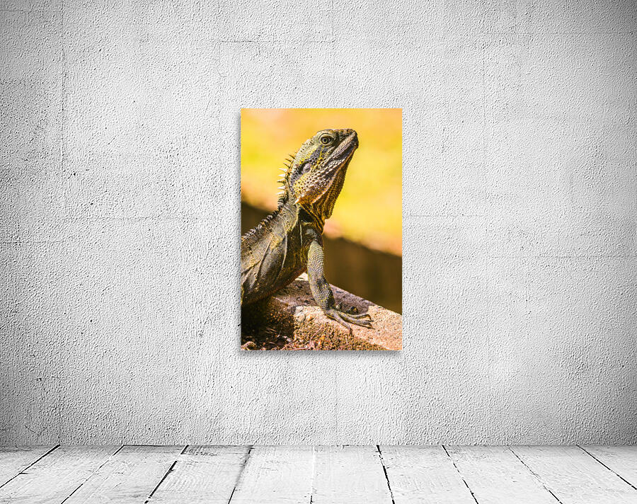 A predators portrait Wall Preview