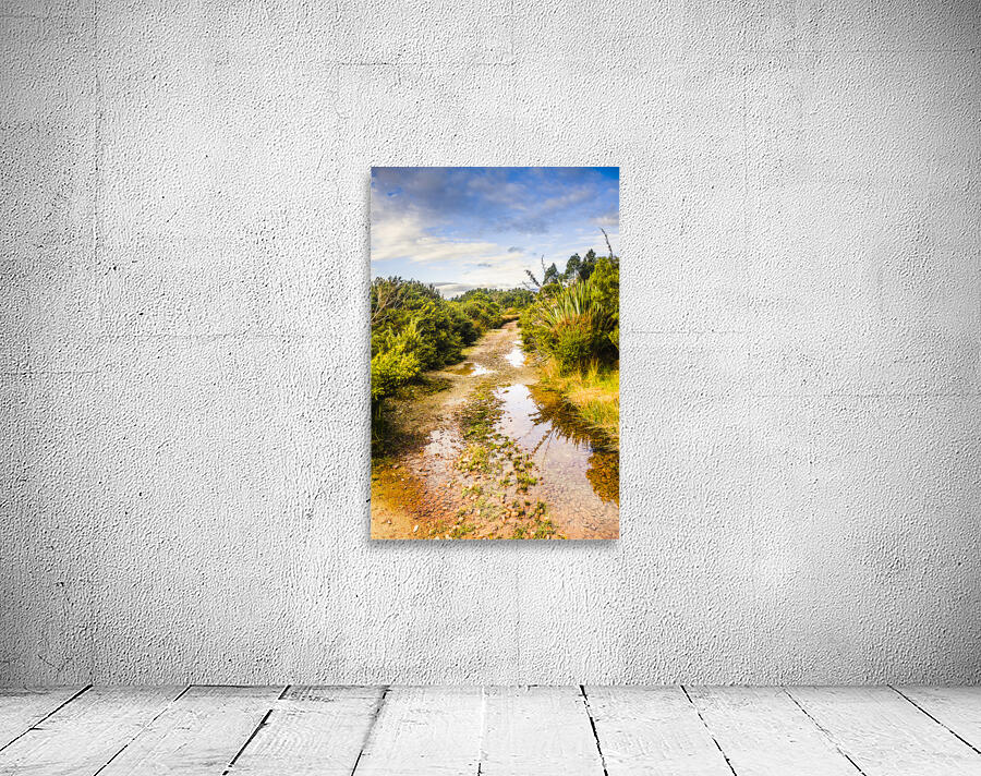 Scenic roads less travelled Wall Preview