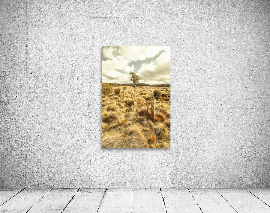 Peaceful country plains Wall Preview