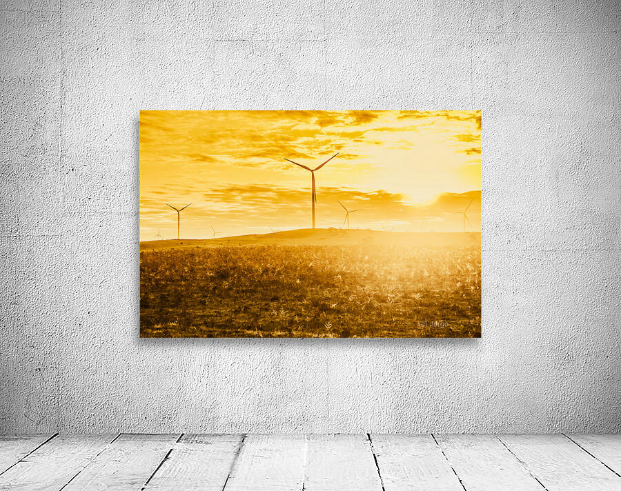 Musselroe Wind Farm Wall Preview