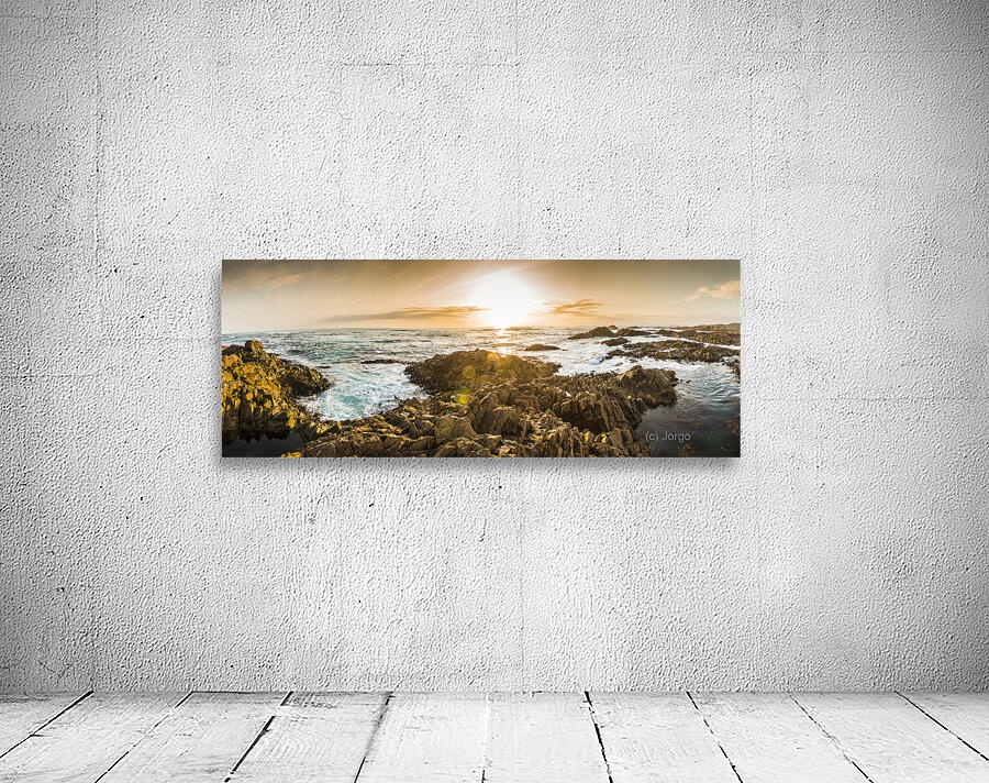 Insert unique ocean title here Wall Preview