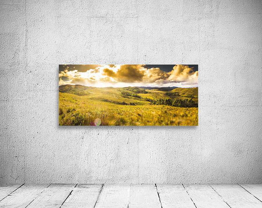 Gorgeous golden sunset field  Wall Preview