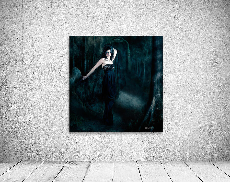 Moody portrait of an elegant mysterious woman Wall Preview