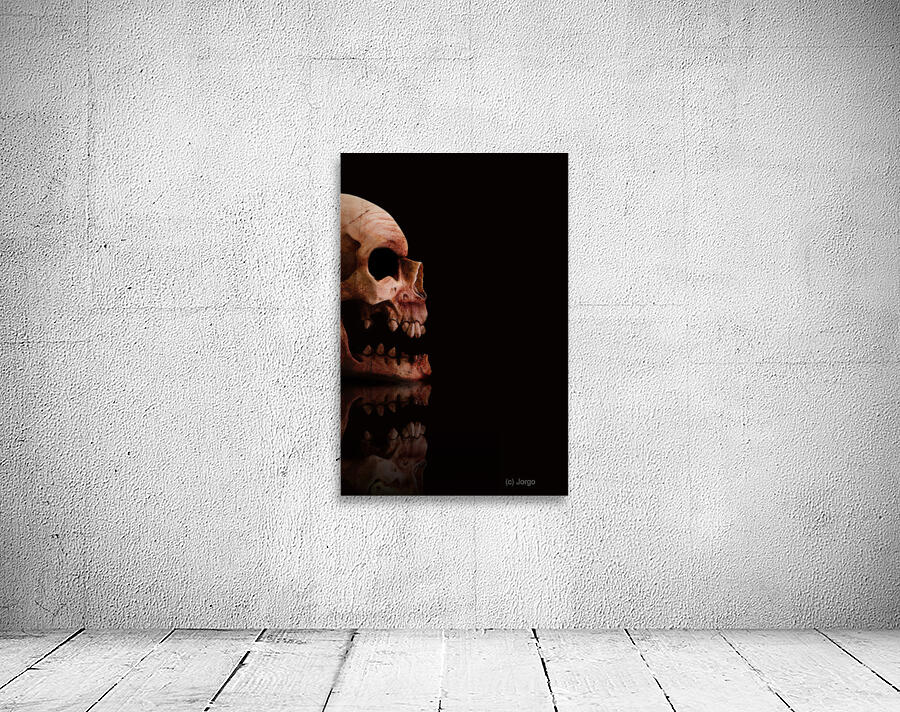 Scary Skull Wall Preview
