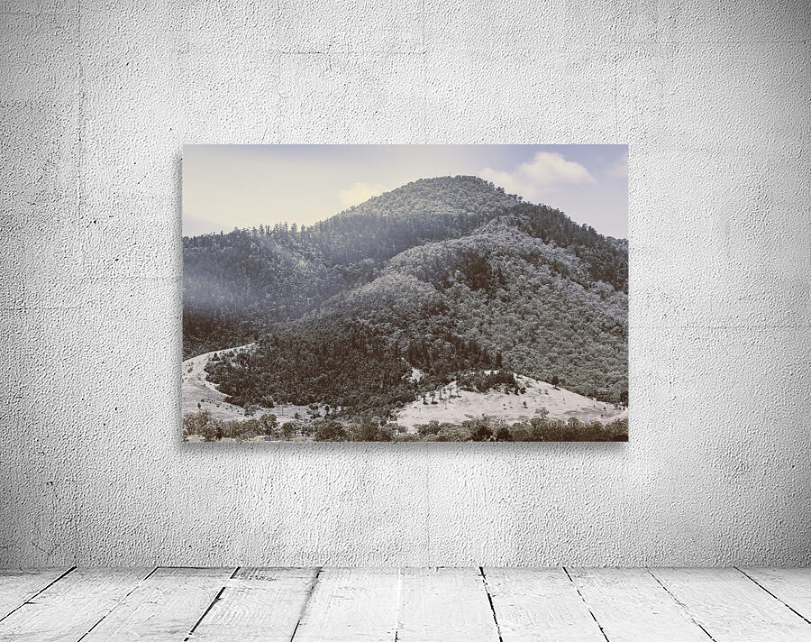 Sun lit serenity Wall Preview