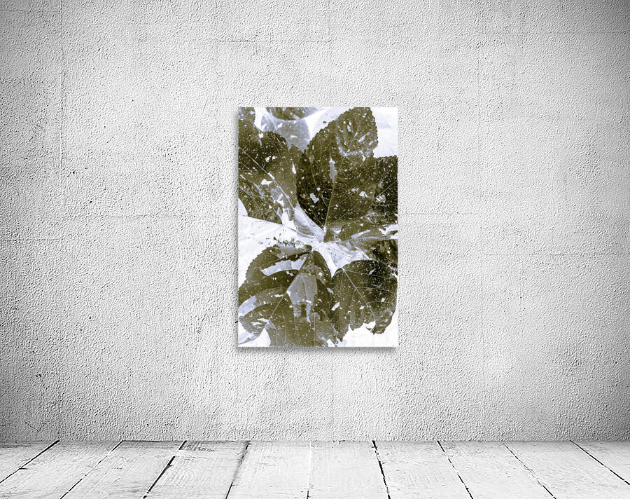 Spectral  Wall Preview