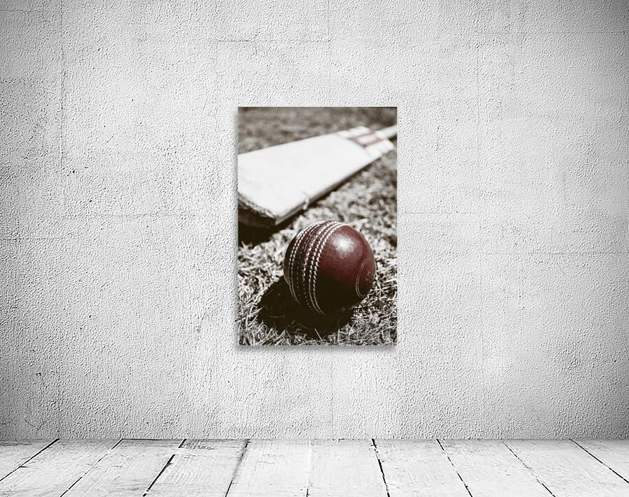 Vintage cricket Wall Preview