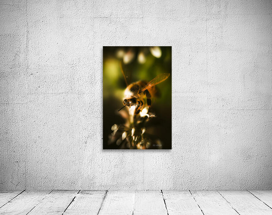 Fauna And Flora Meet Wall Preview