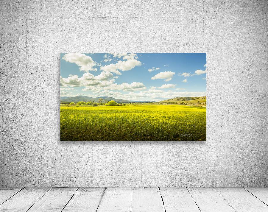 Farmland colour Wall Preview