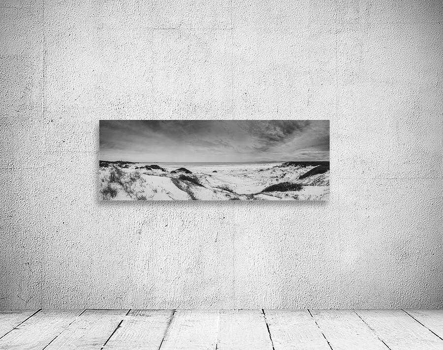 Dramatic sea dunes Wall Preview