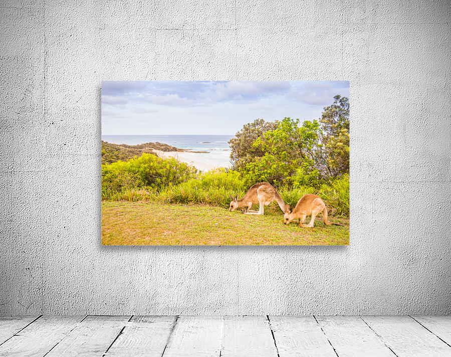 Hooroo from Australia Wall Preview