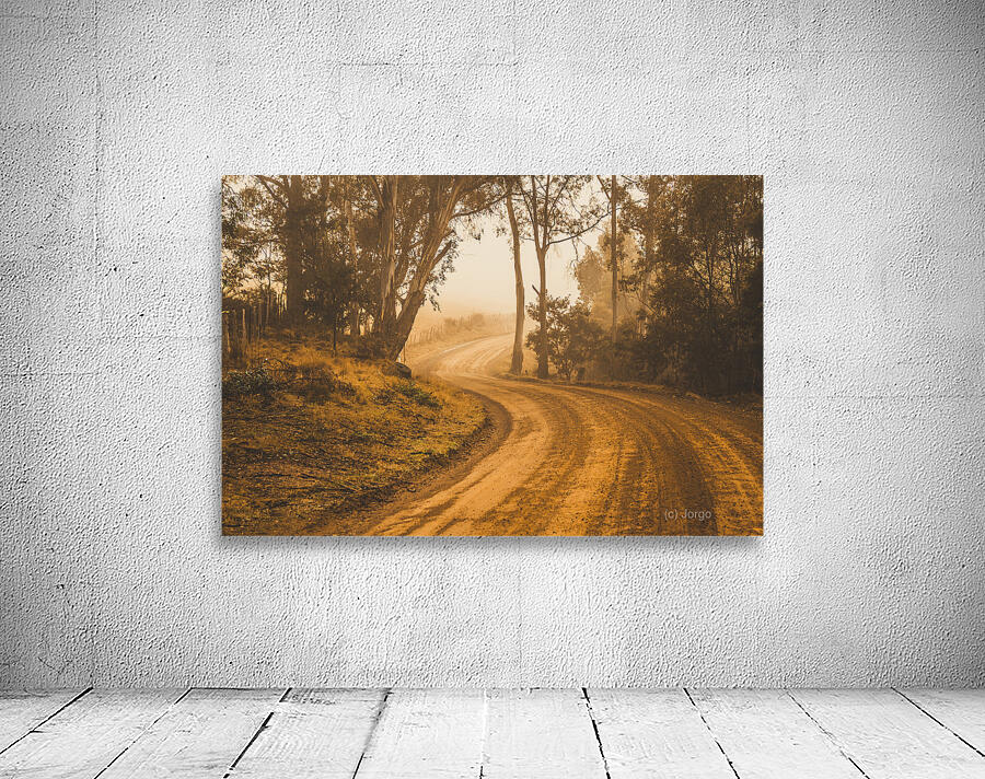 Mysterious autumn trail Wall Preview