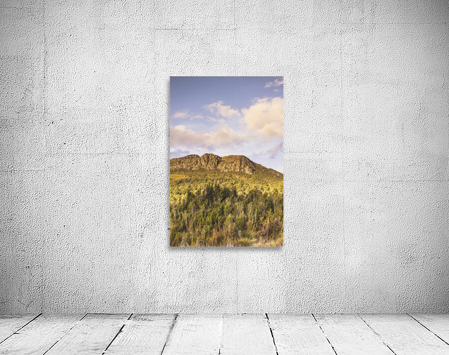 Western wilds Wall Preview