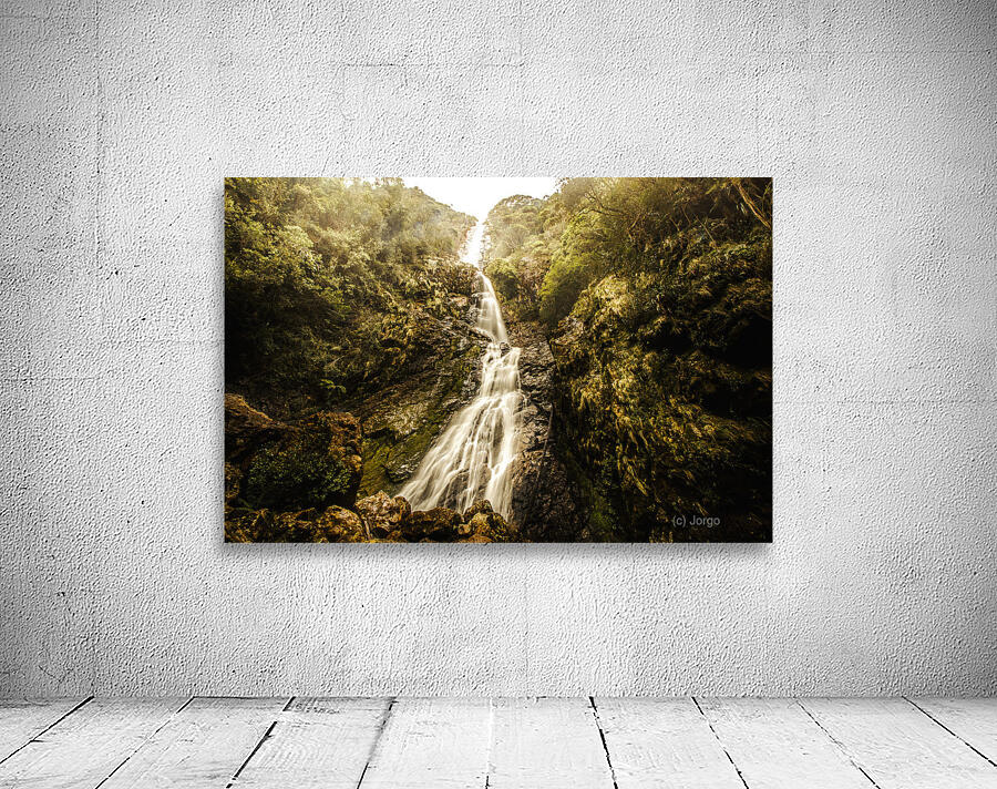 Montezuma Falls Tasmania Wall Preview