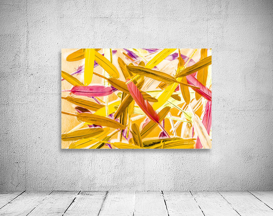 Palletry Plumes Wall Preview