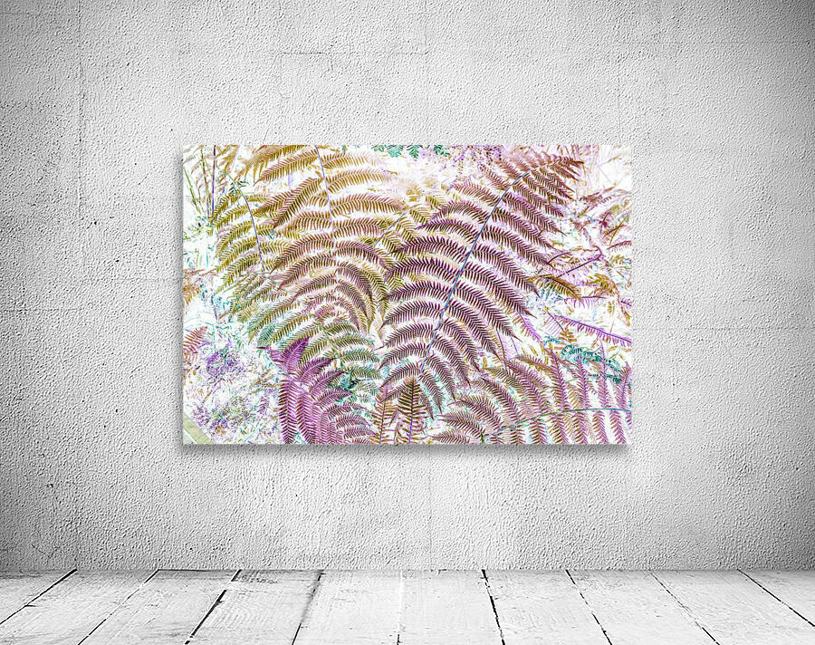 Exotic pop Wall Preview