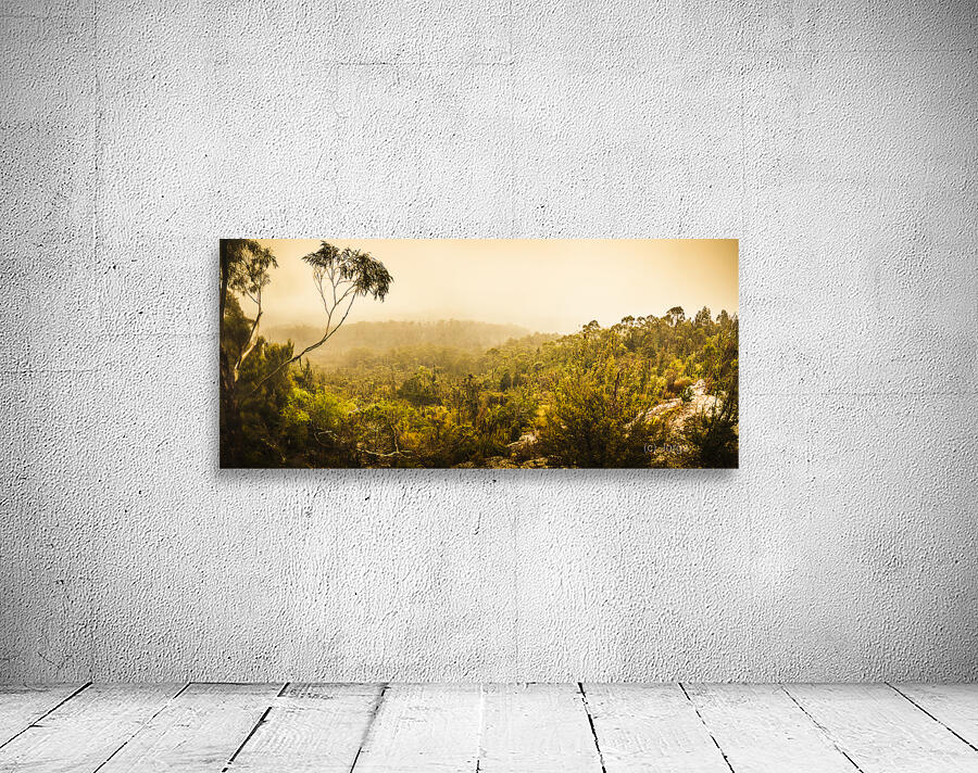 Land before time Wall Preview