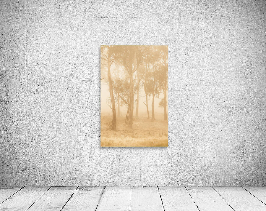 Misty woods Wall Preview