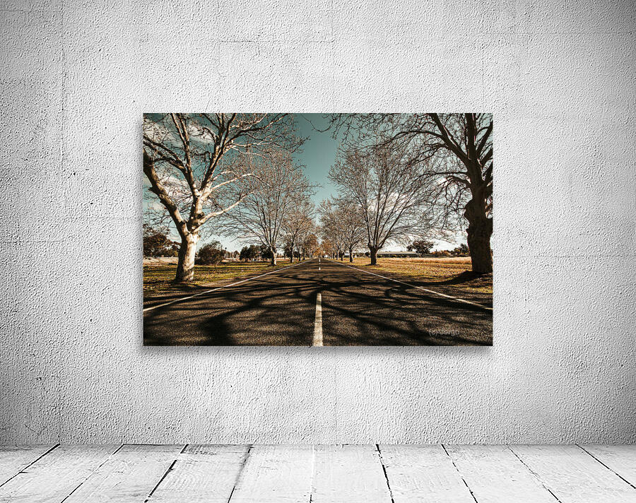 Entrance to Narrandera the Town of Trees Wall Preview
