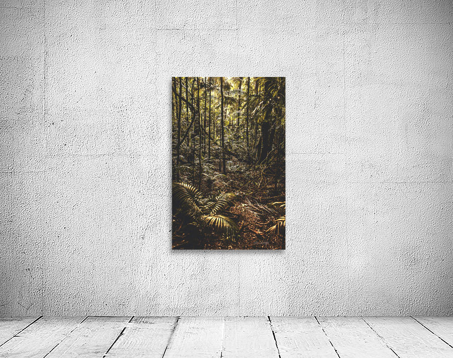 Mary Cairncross Scenic Reserve Wall Preview