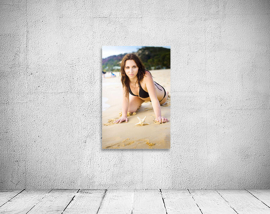 Beach holiday star Wall Preview