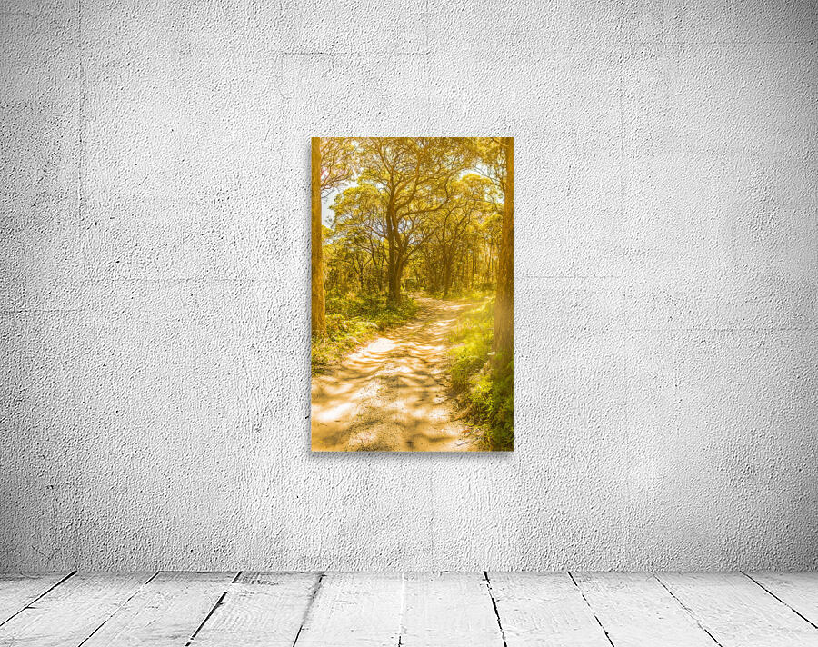 Waywoods  Wall Preview