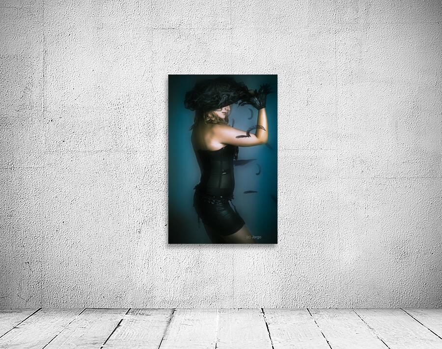 High fashion female mystery dancer Wall Preview