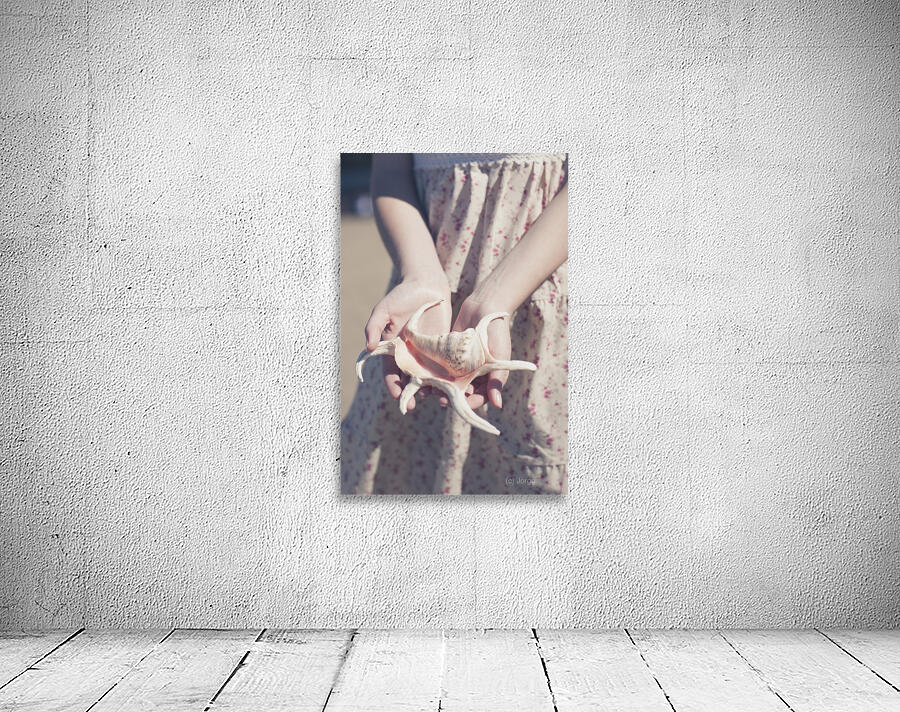 Hands Holding Large Seashell Wall Preview