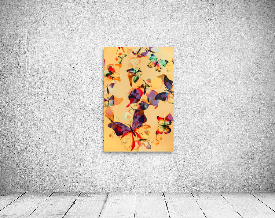 Group of Butterflies with Colorful Wings Wall Preview