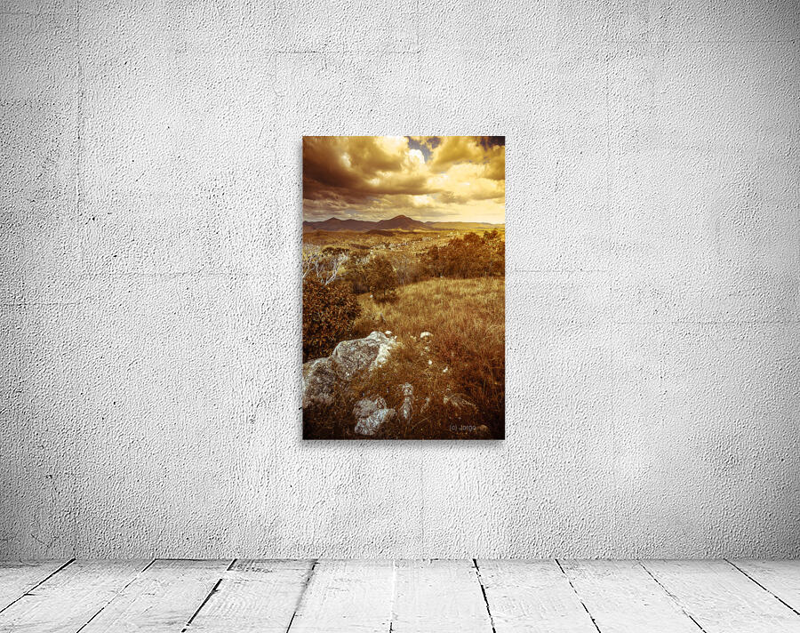 Afternoon storms Wall Preview