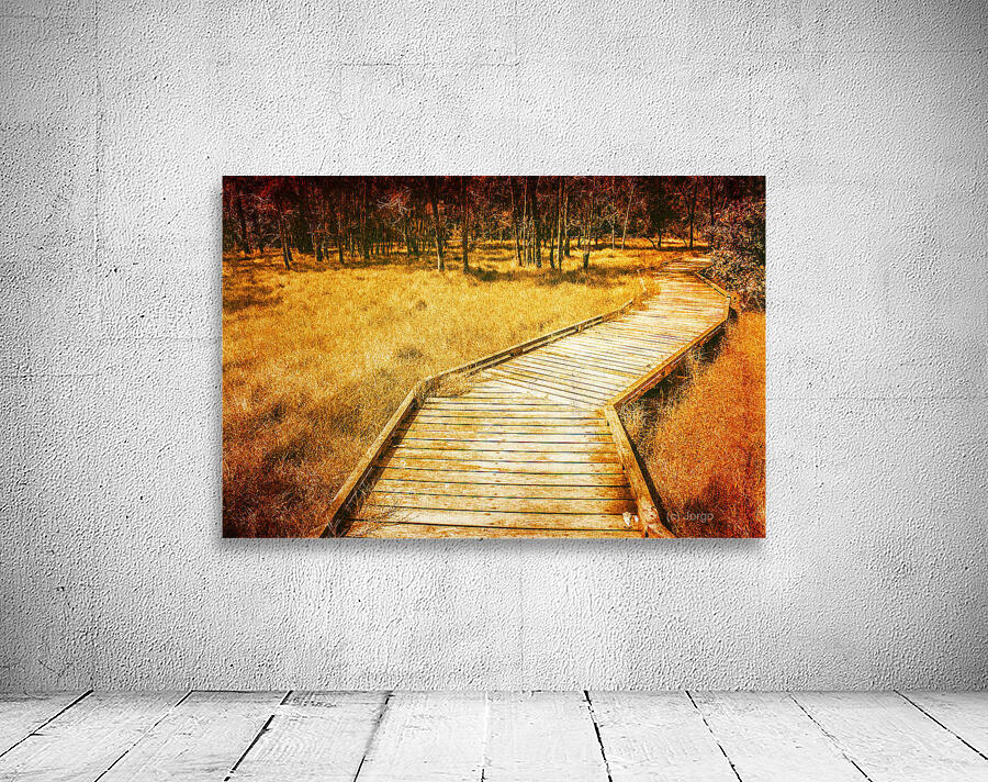 Boardwalk through vintage wetlands Wall Preview