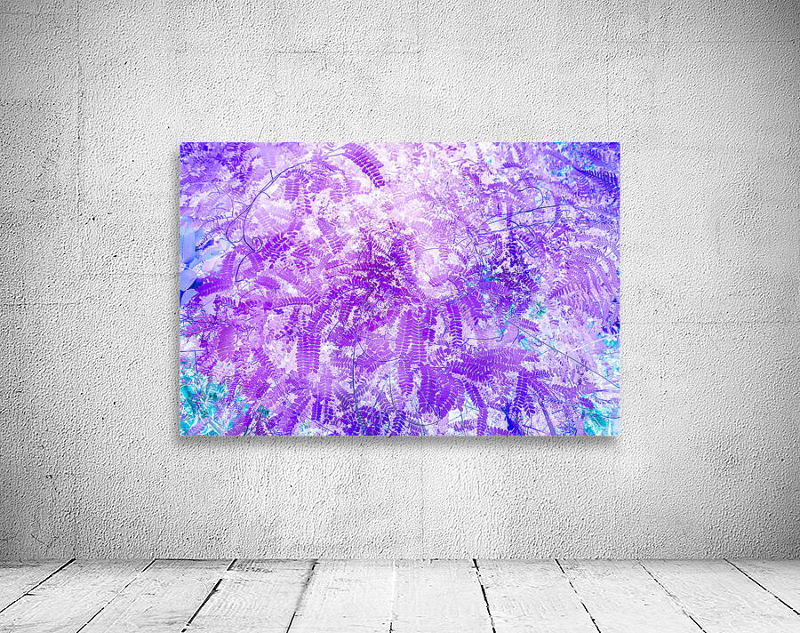 Verola  Wall Preview