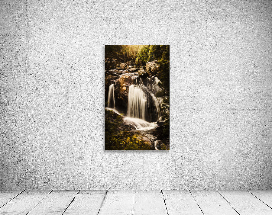 Temperate highland water fall Wall Preview