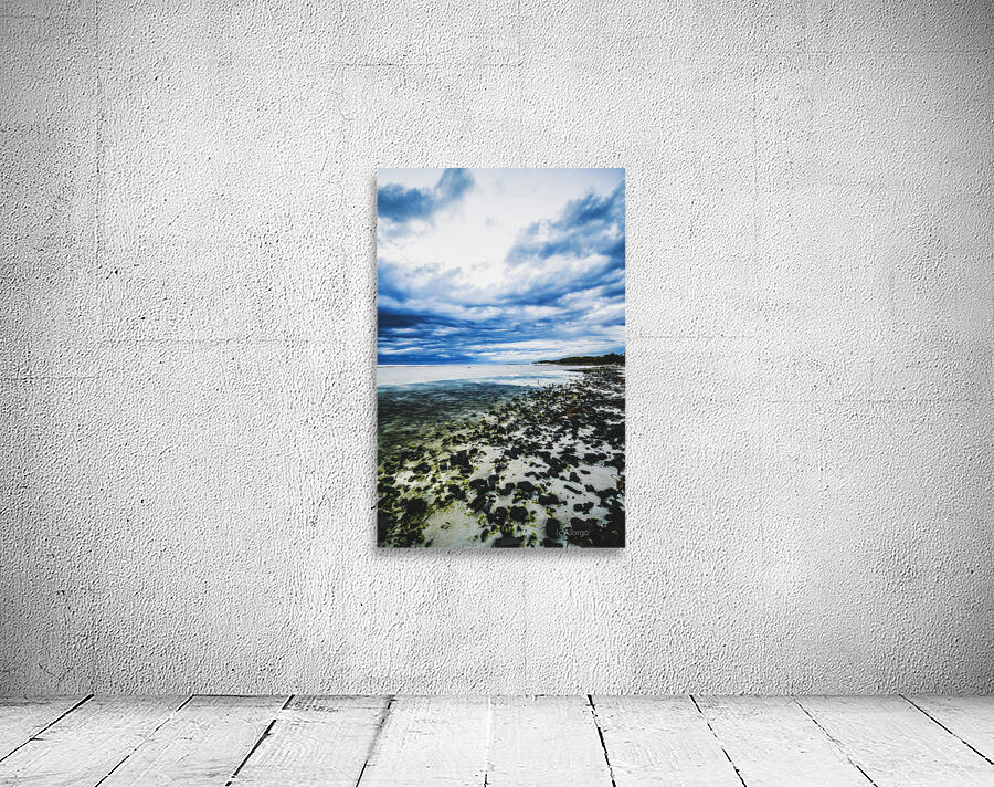 Blue bay beauty Wall Preview