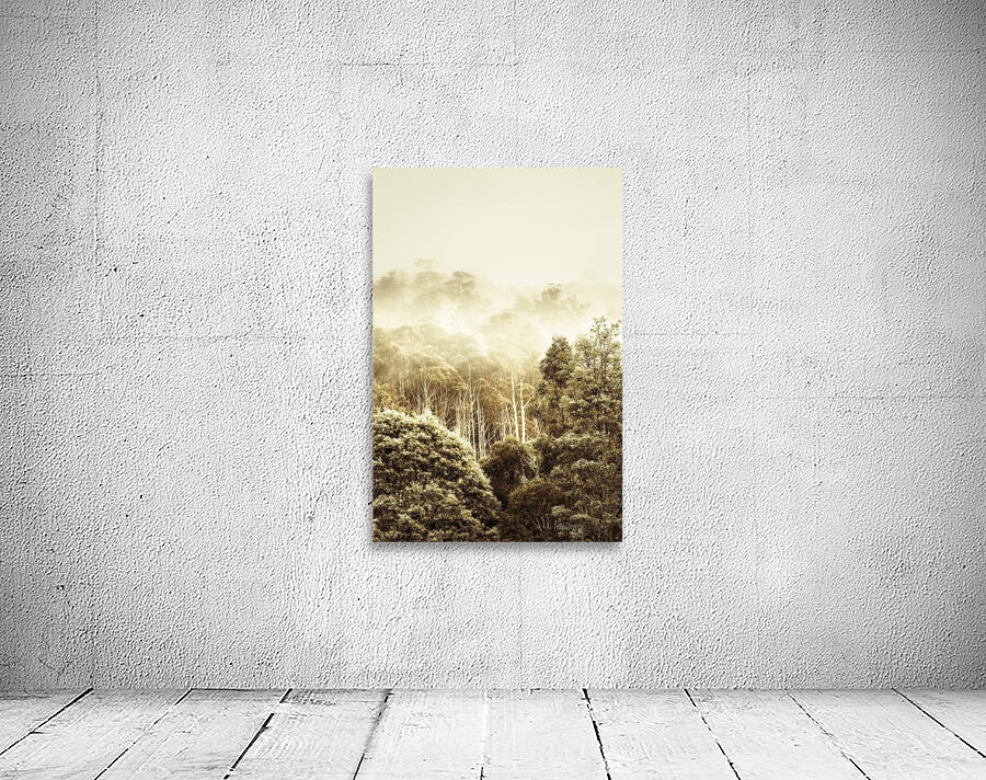 Rustic Tasmanian rural forest Wall Preview