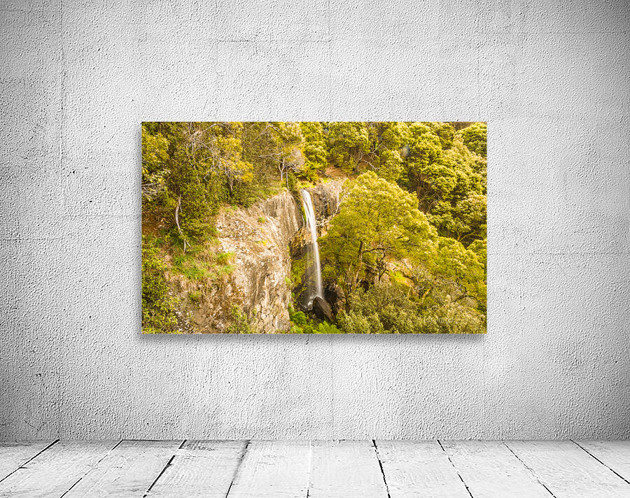 Scenic forest falls Wall Preview