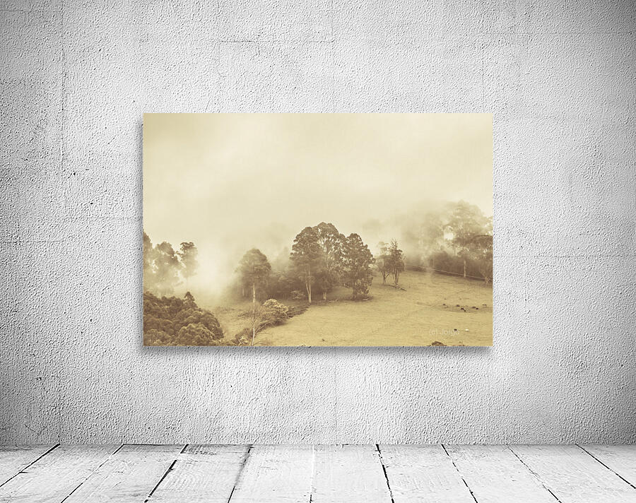 Hazy remote woodlands Wall Preview