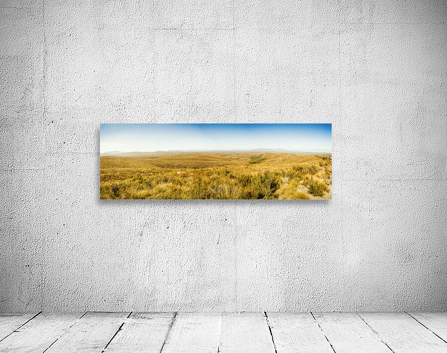 Plain plains Wall Preview