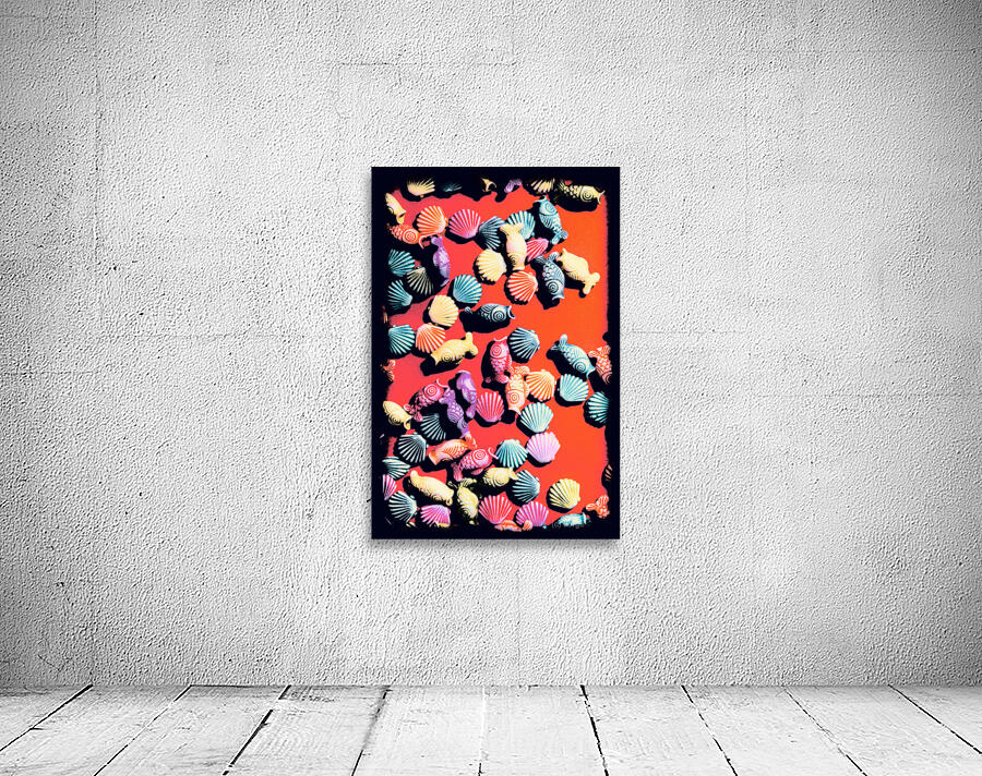 Shell n tropic Wall Preview