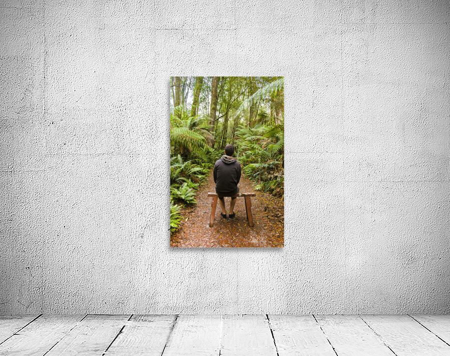 Travel man sitting in a green lush fern forest Wall Preview