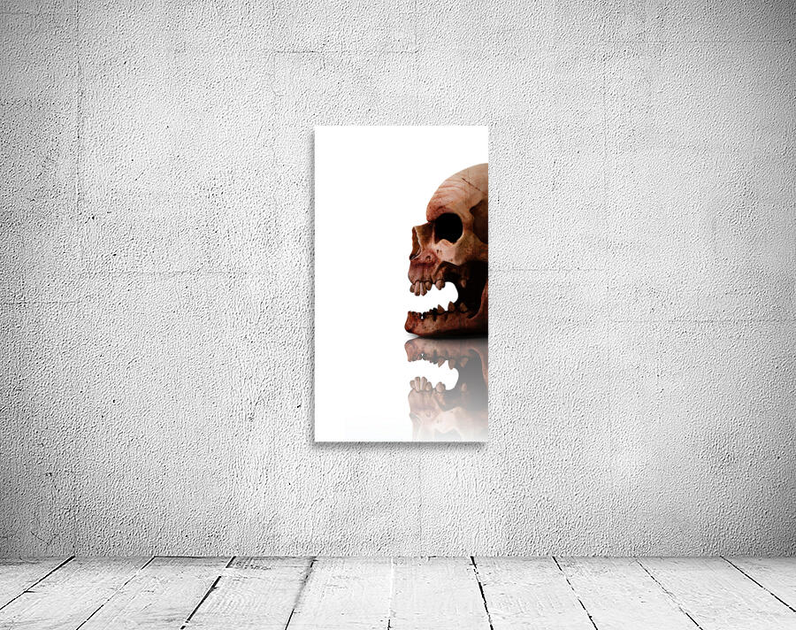 Horror Head Wall Preview