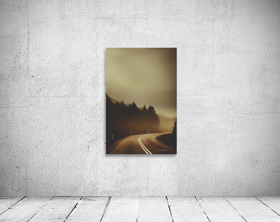 View of abandoned country road in foggy forest Wall Preview