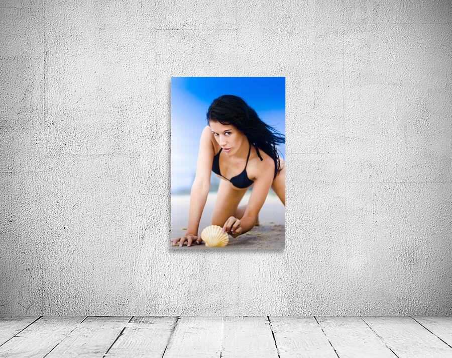 Shell Search Discovery Wall Preview