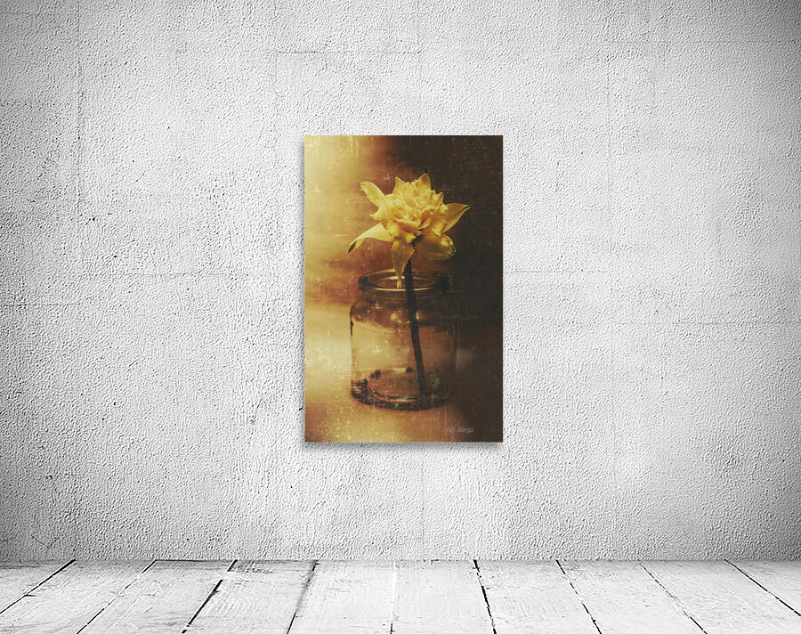Vintage daffodil flower art Wall Preview