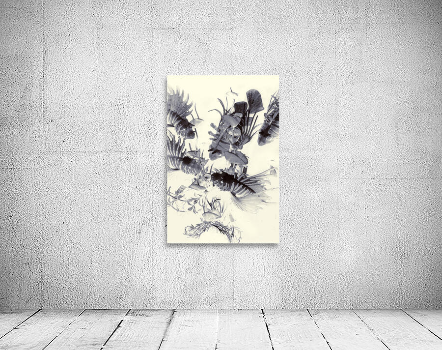 Beneath  Wall Preview