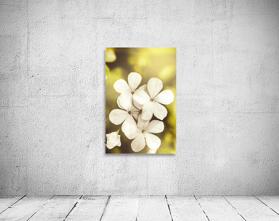 Pale wildflowers Wall Preview