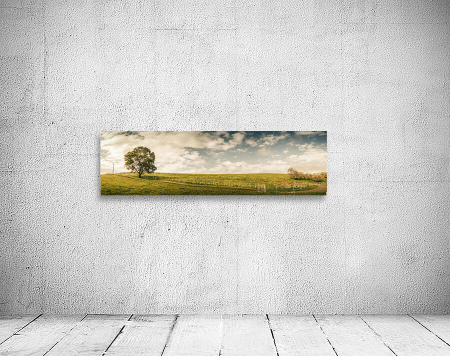 Camena Tasmania country panorama Wall Preview