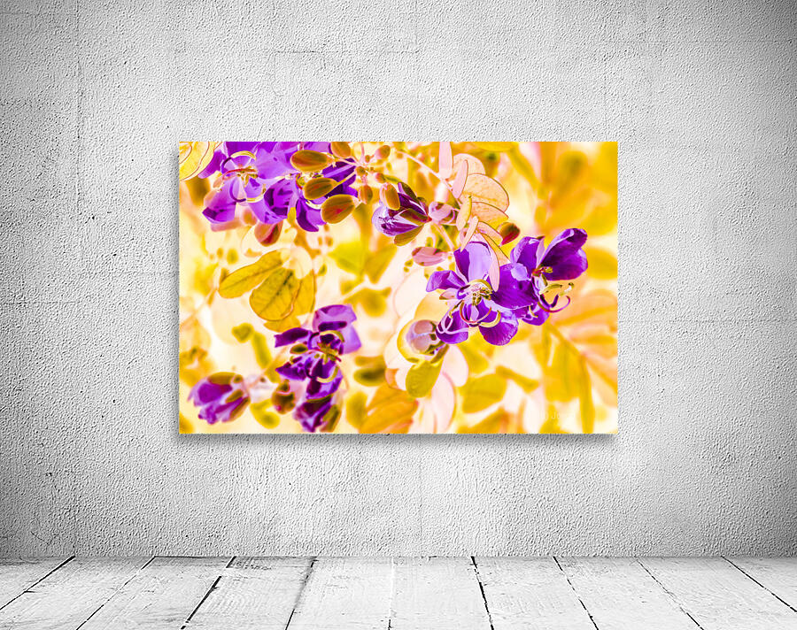 Retro vibrancy Wall Preview