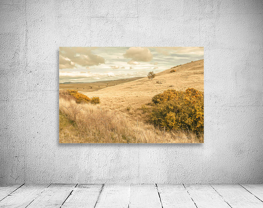 Meandering hills Wall Preview